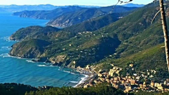 Officine del Levante