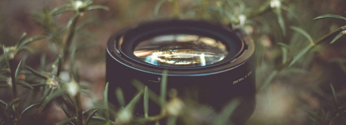 Green Film