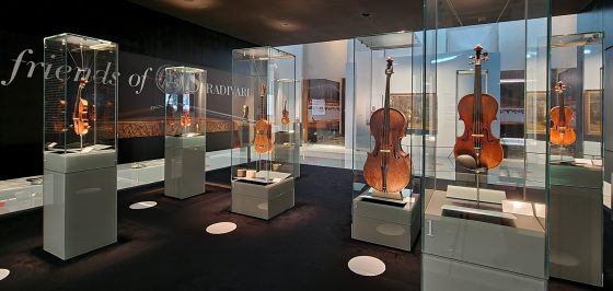 Violino