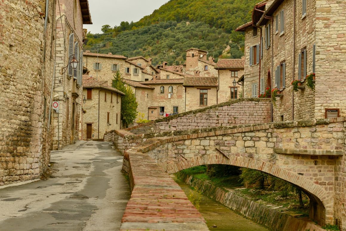 radici