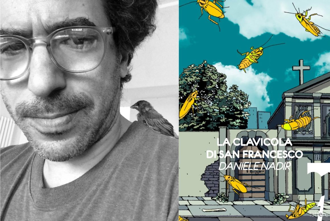 animali