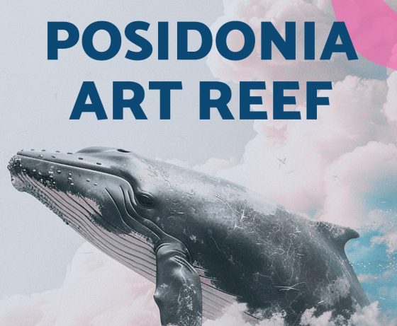Posidonia Art Reef