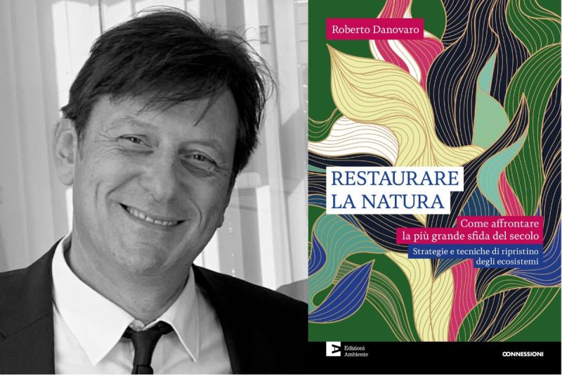 restaurare